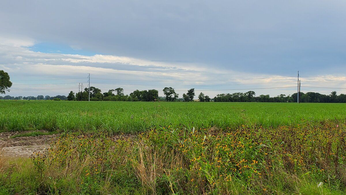 W Hwy 90 Frontage Rd, New Iberia, LA 70560